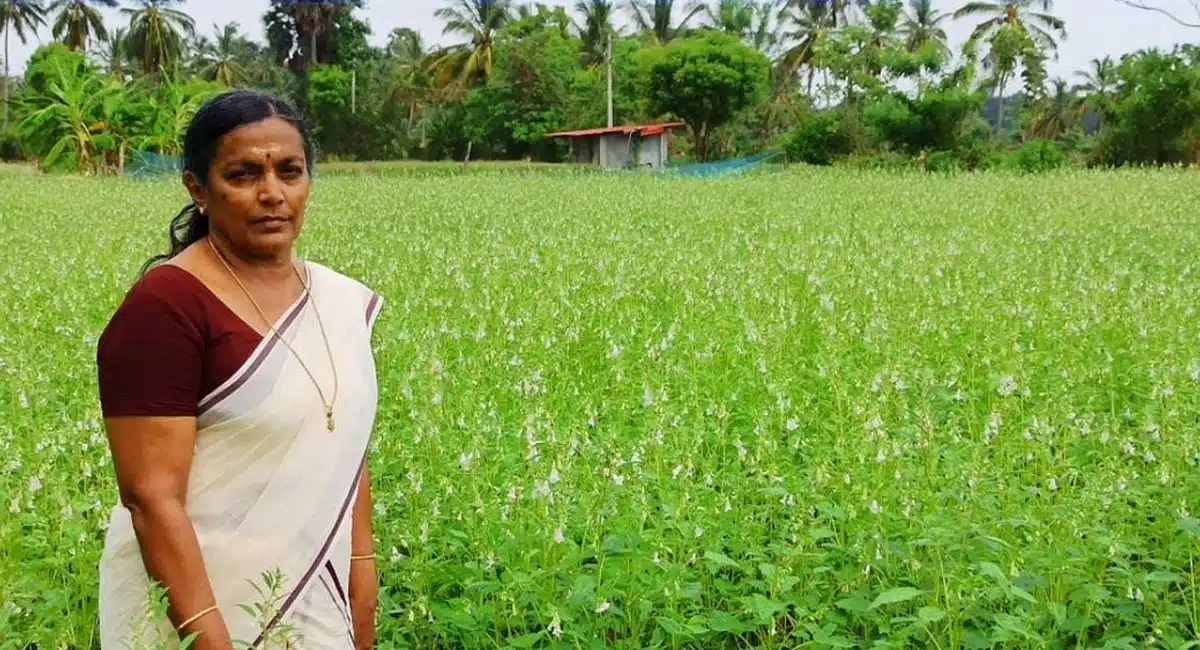 homaker bhuvaneshwari turns farmer earns lakhs with organic farming at kerala