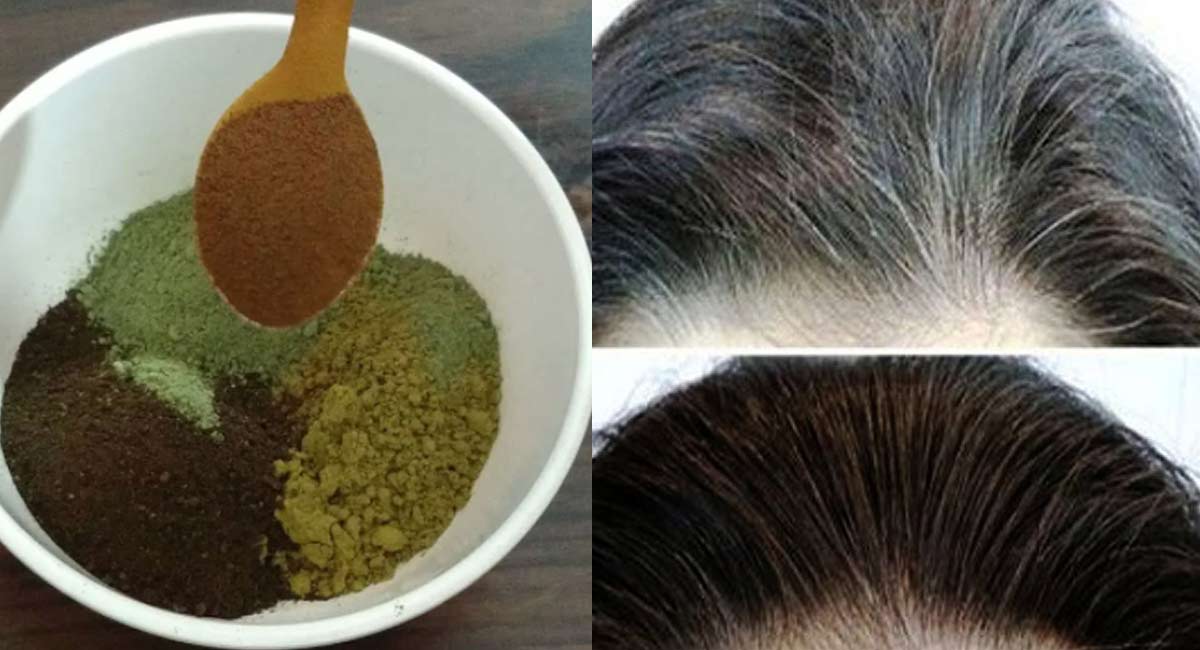 Hair Tips : ఈ మిశ్ర‌మంతో తెల్ల జుట్టు మాయం.. ఆ ఆకుల ప‌స‌రుతో మంచి ఫ‌లితం