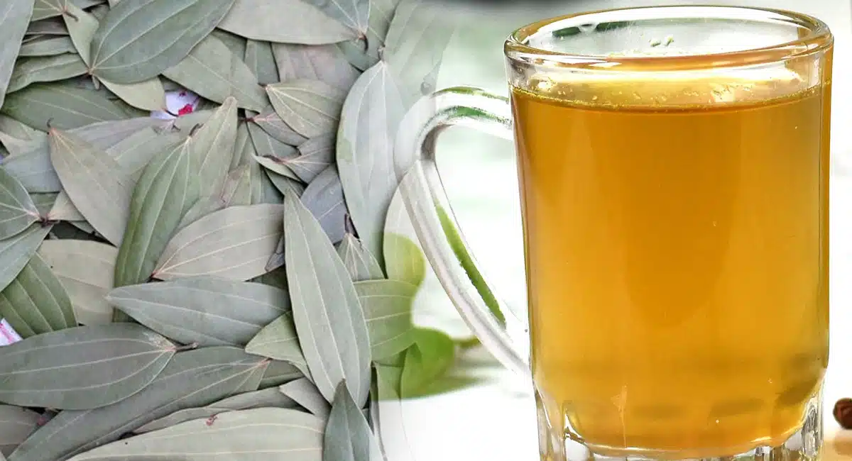 Health Benefits Weight loss in Bay Leaves Infusion  