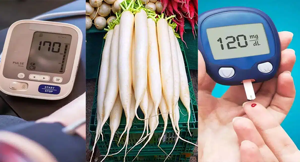 BP Normal Sugar Control in Health Benefits of Radish