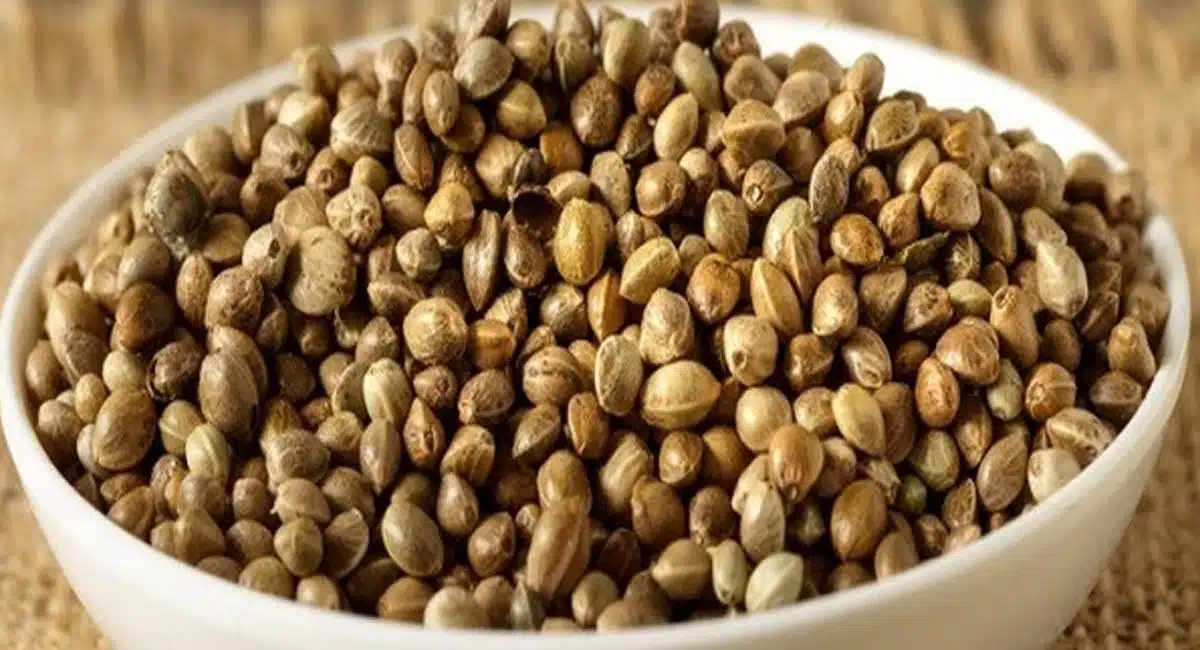 Health Tips in Benefits Of Hemp Seeds 