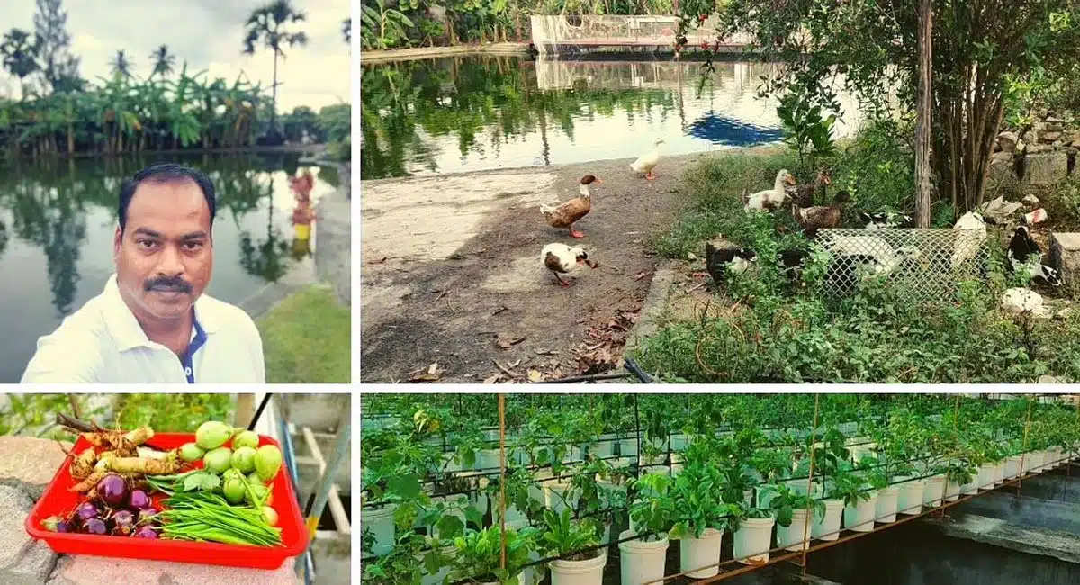 Business Idea in aquaponics hydroponics how to grow pisciculture farming chennai tech iot software agriculture ecofriendly sustainable freshry