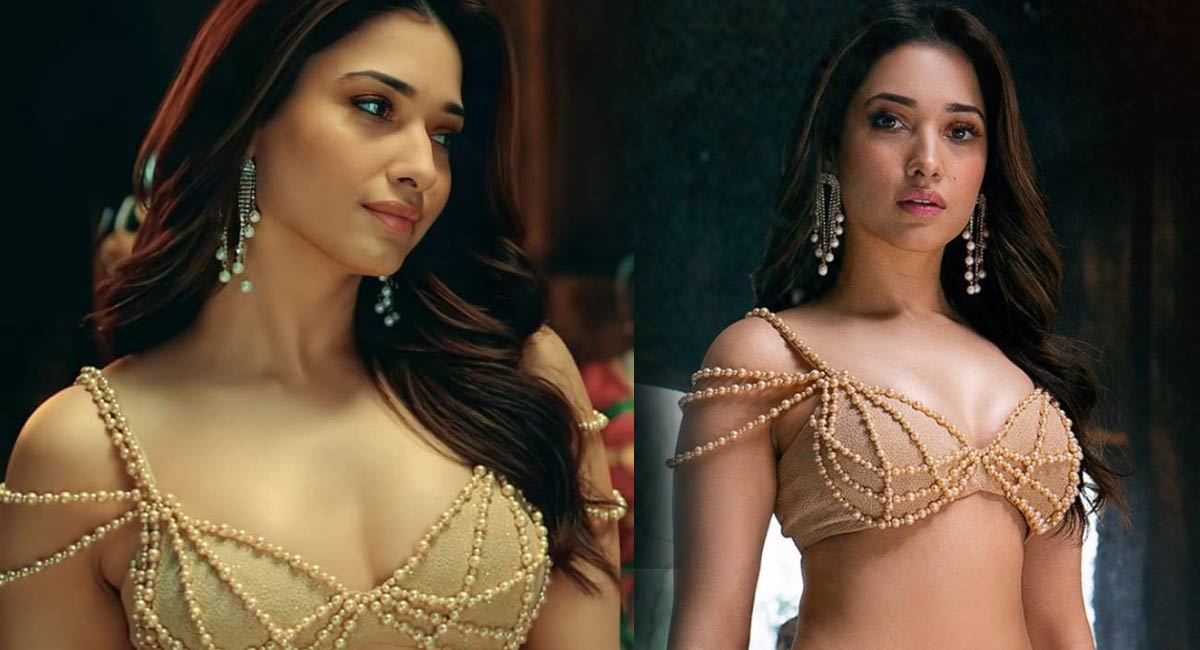 Tamannah : త‌మన్నా అందాల ర‌చ్చ‌.. ఆ అందాల‌కు ముగ్దుడు కాని వారుంటారా..!