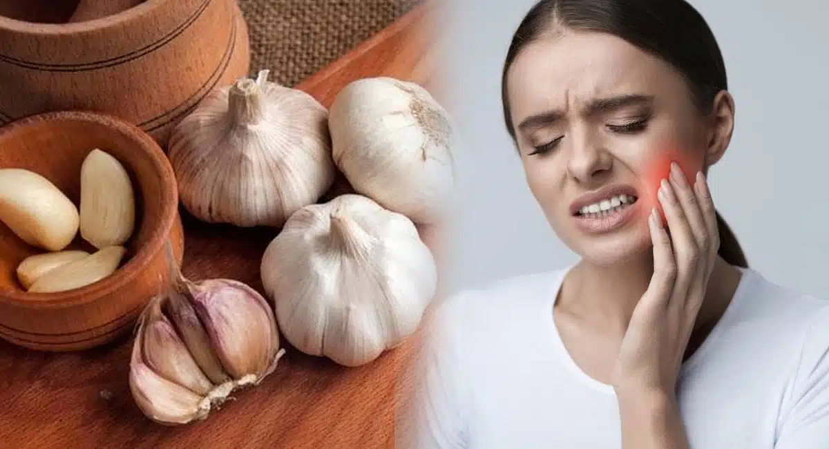 Tooth Pain tips in Salt garlic cloves