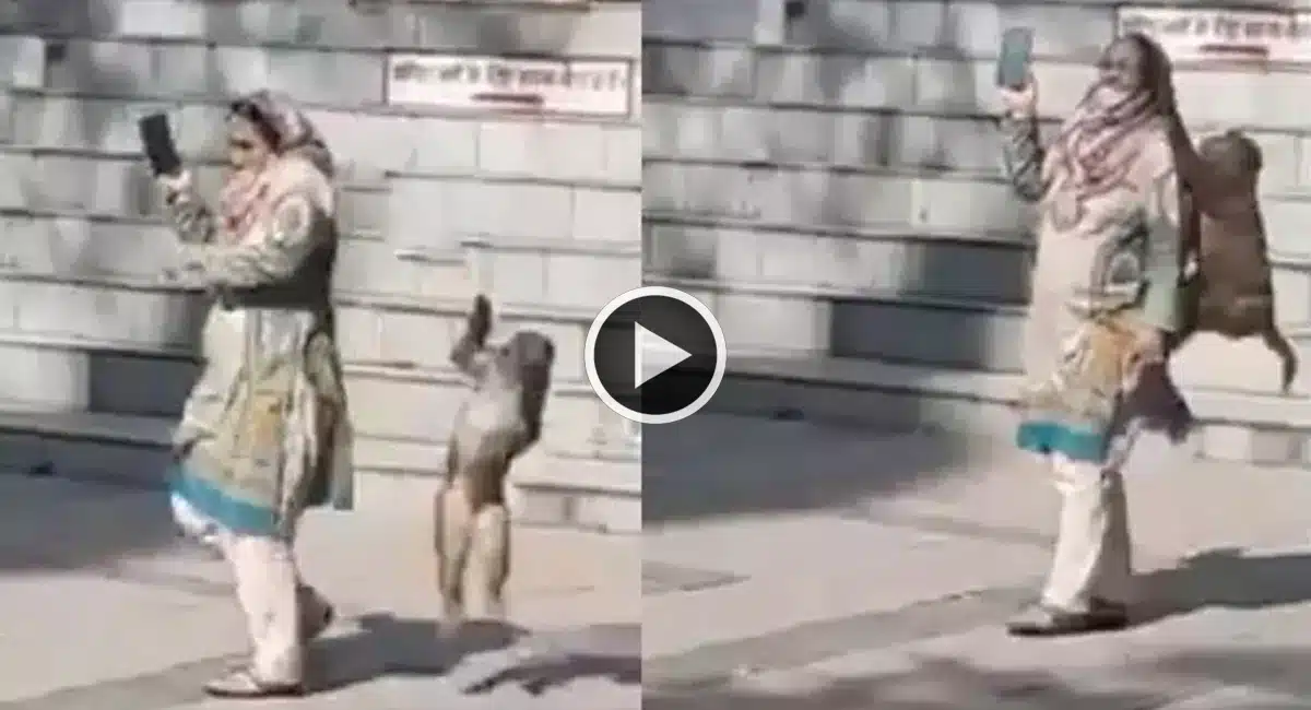 Viral Video a monkey stealing eye glasses