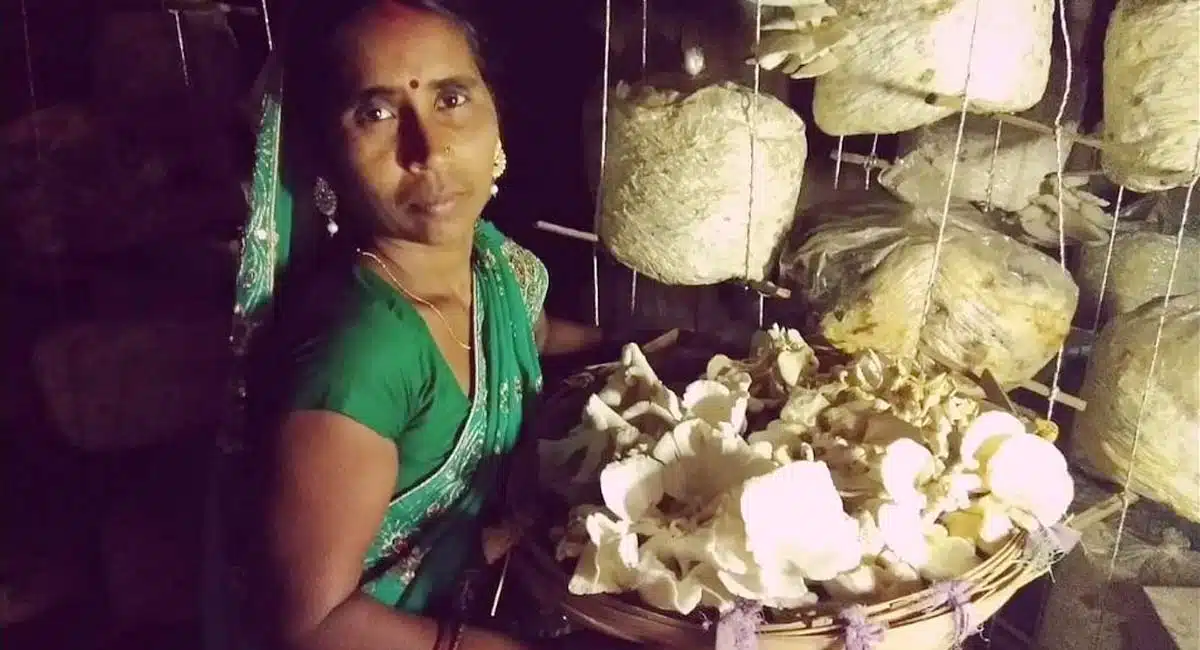 Business Idea mushroom earns lakhs india nari shakti puraskar women organic farming inspiring