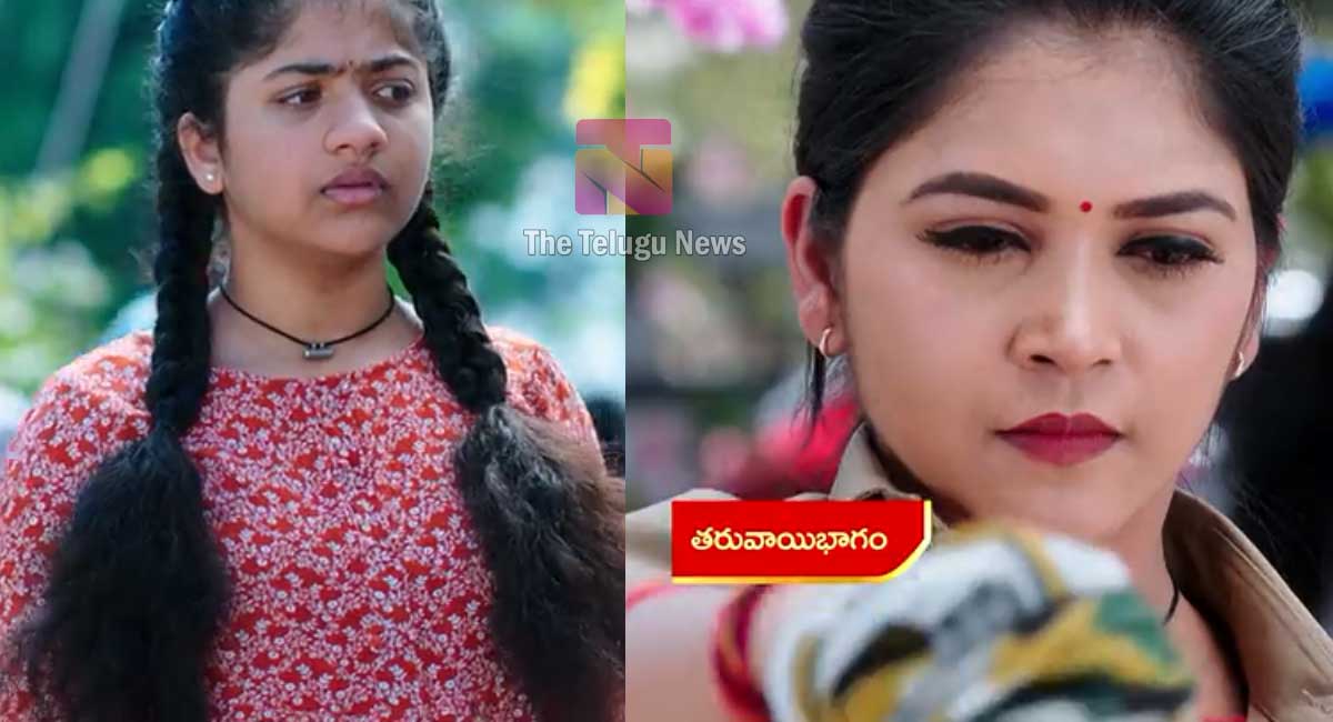 will sourya accepts hima in karthika deepam