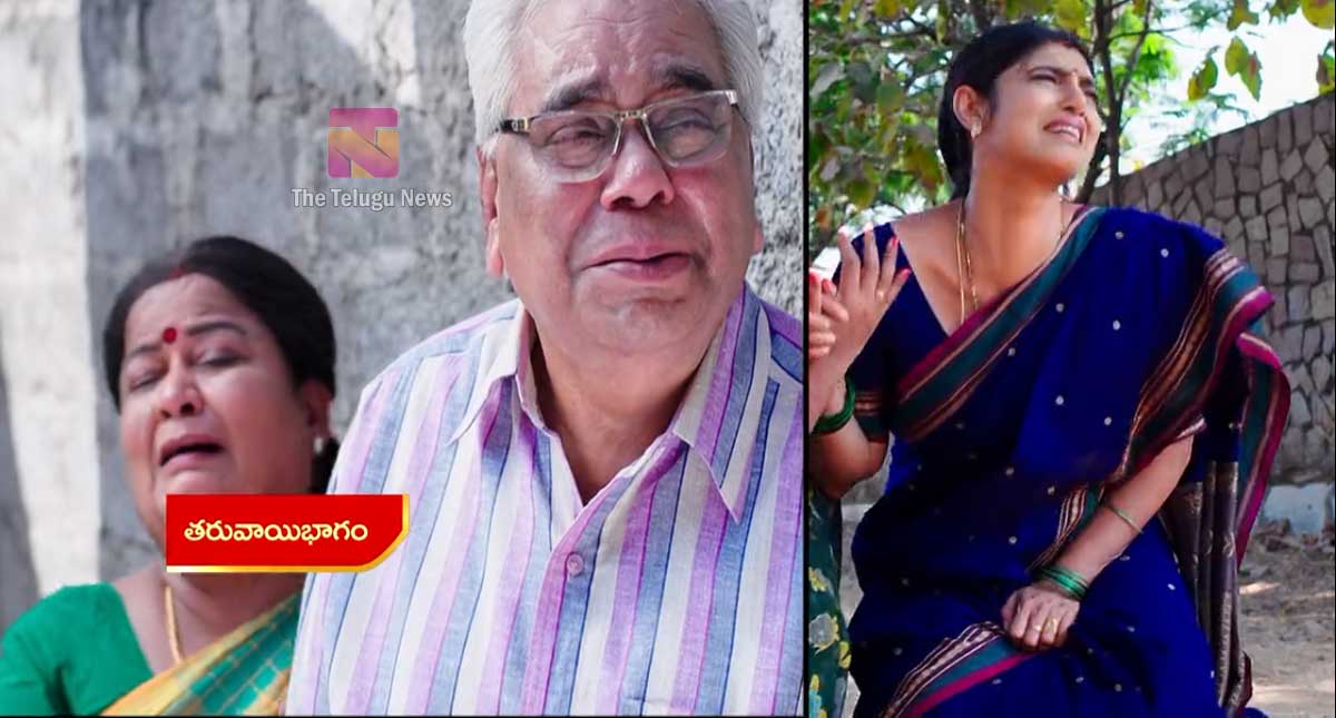 Intinti Gruhalakshmi 29 March Today Episode : తులసిపై నందు, లాస్య సీరియస్.. పరందామయ్య, అనసూయను వెతికేందుకు వెళ్లిన తులసికి షాక్