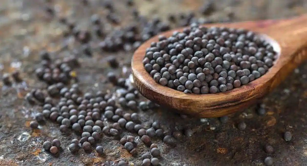 amazing health benefits of black mustard seeds