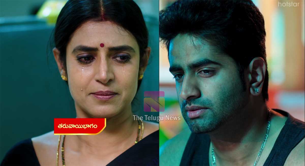 Intinti Gruhalakshmi 14 March Today Episode : తులసిపై ధ్వేషం పెంచుకున్న దివ్య.. ప్రేమ్ పై శృతి సీరియస్.. ఇంతలో తలసికి మరో షాక్