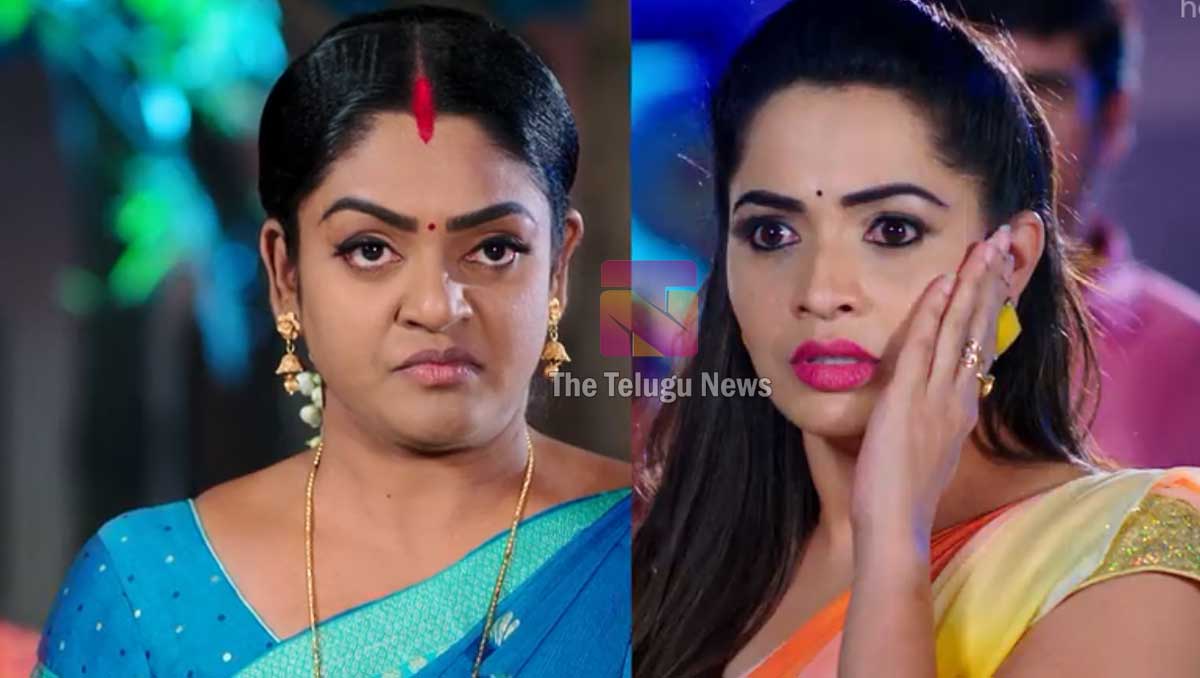 Karthika Deepam 2 March Today Episode : మీ ఇంట్లో పెంచుకుంటున్న బాబును నాకిచ్చేయని కార్తీక్ తో అన్న మోనిత.. మరోవైపు మోనితకు భారీ షాకిచ్చిన దీప.. ఇంతలో మరో ట్విస్ట్