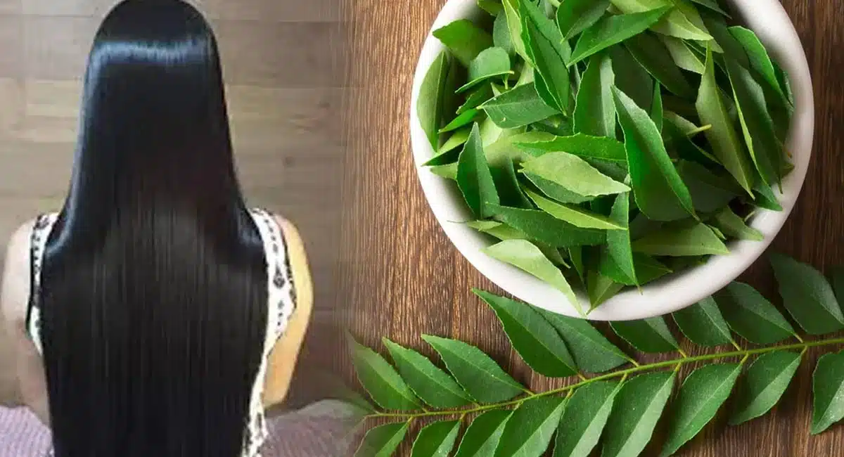 curry leaves to get long thick Hair Tips