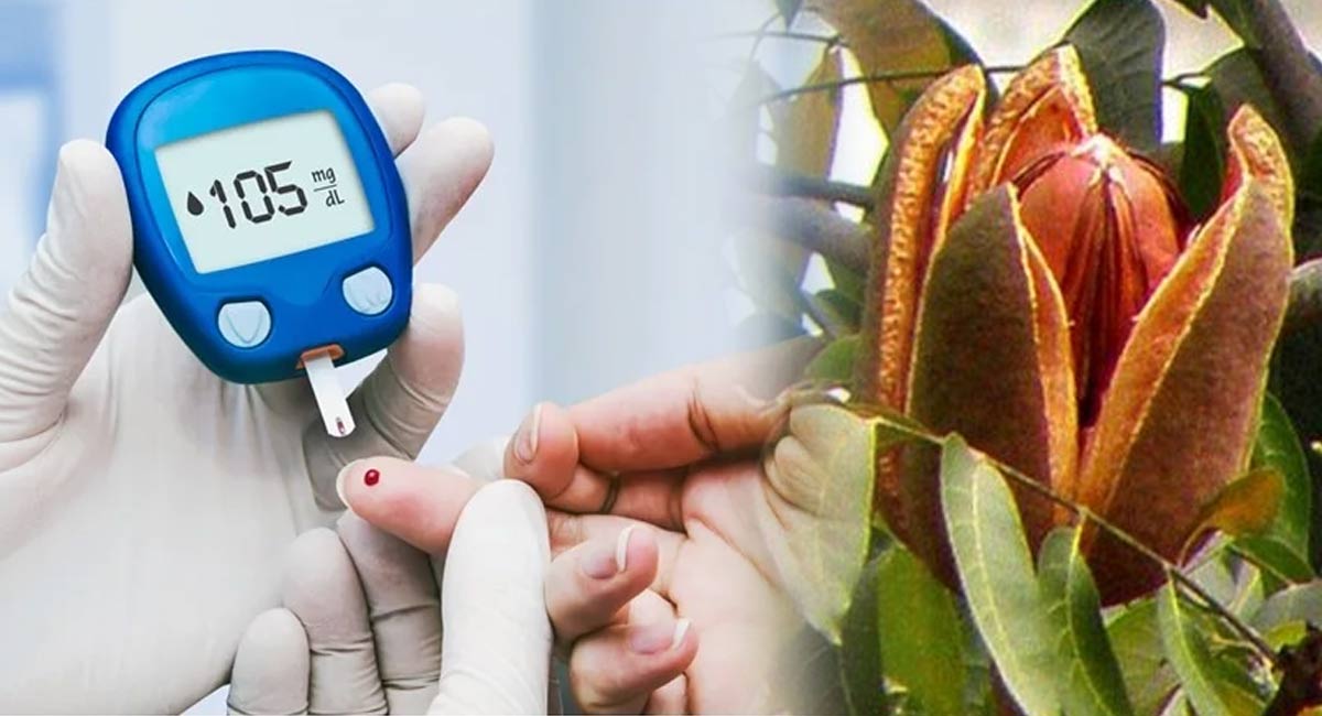 Diabetics : డయాబెటిస్ ను పూర్తిగా తగ్గించే ట్యాబ్లెట్ ఫ్రూట్ గురించి మీకీ విషయాలు తెలుసా?