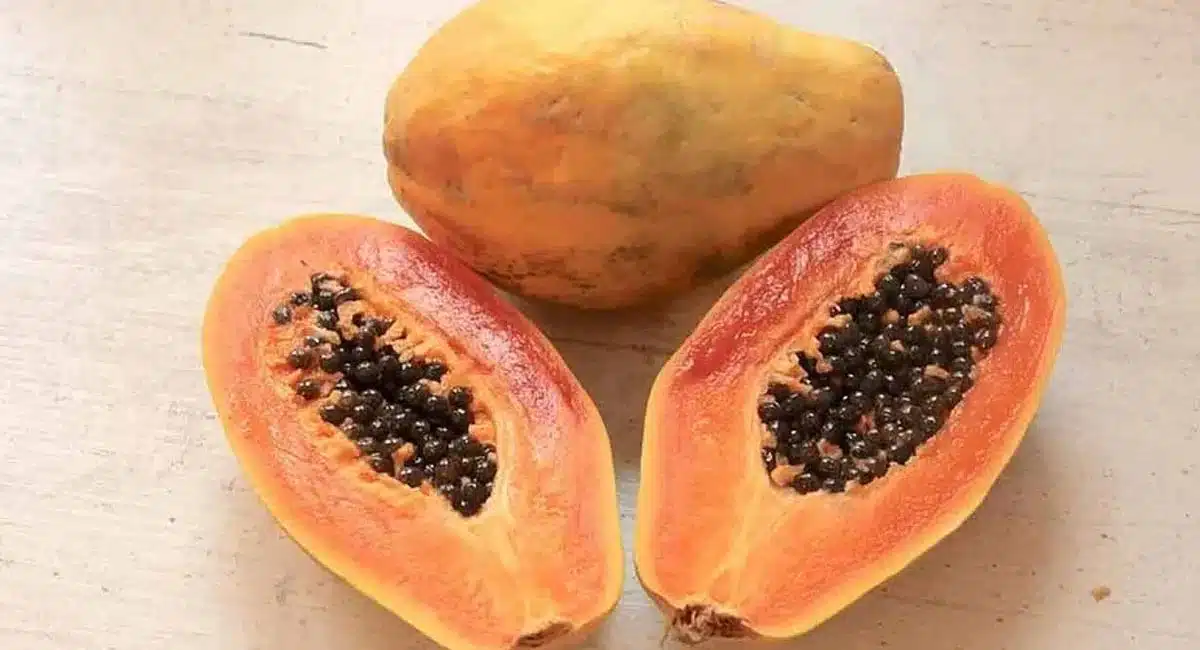 amazing health benefits of papaya