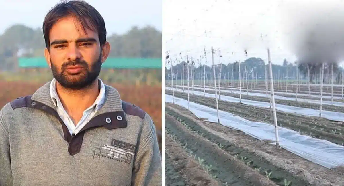 Business Idea in haryana engineer zero budget natural farming success inspiring india