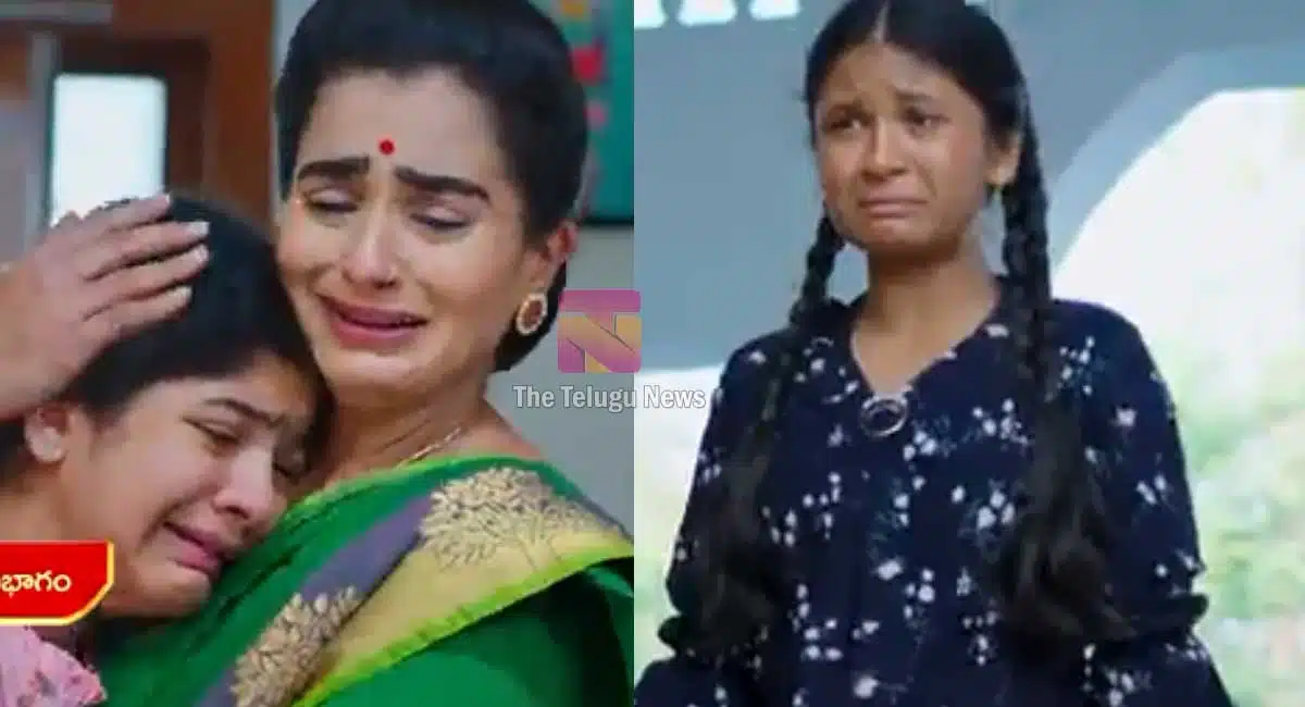 will hima reach soundarya family does sourya accept hima