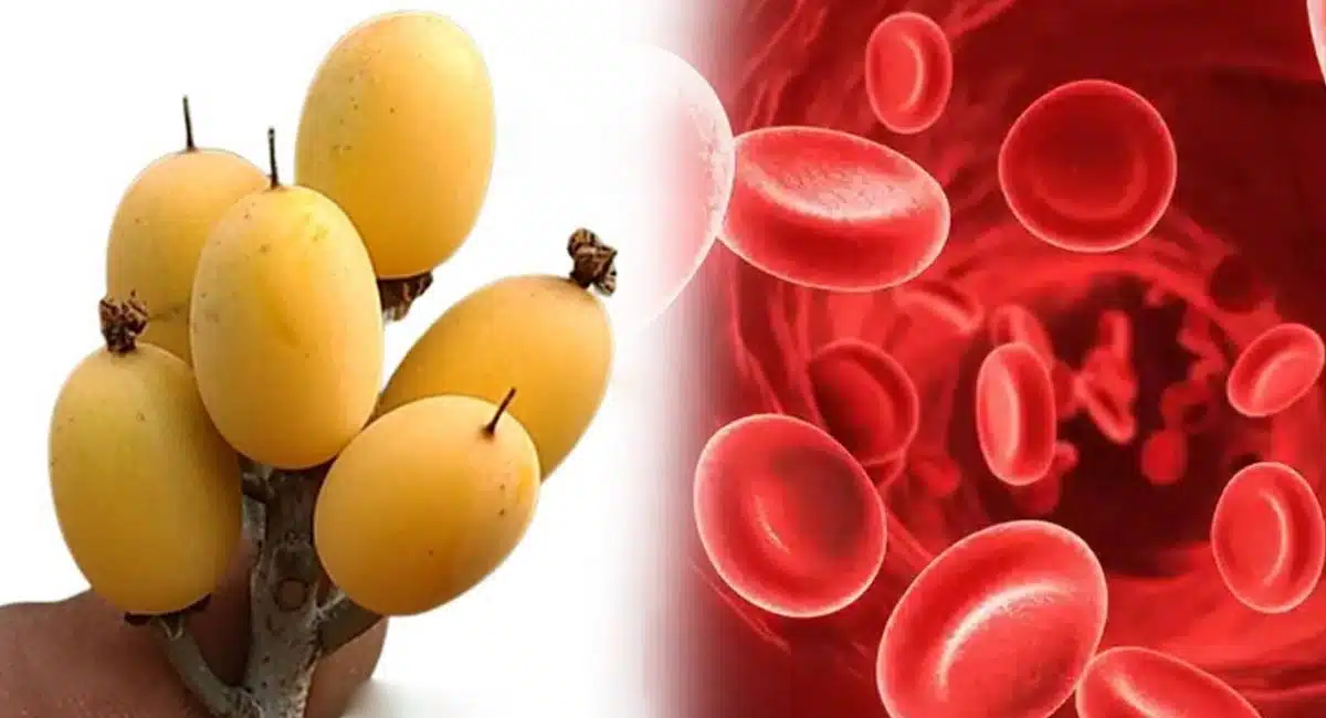 pala pandlu and pala kayala health Tips