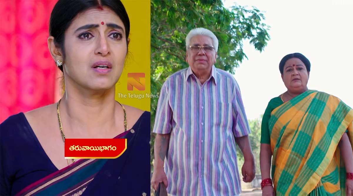 Intinti Gruhalakshmi 28 March Today Episode : తులసికి ఇచ్చిన మాట ప్రకారం.. ఇంట్లో నుంచి వెళ్లిపోయిన పరందామయ్య, అనసూయ.. దీంతో తులసి షాకింగ్ నిర్ణయం