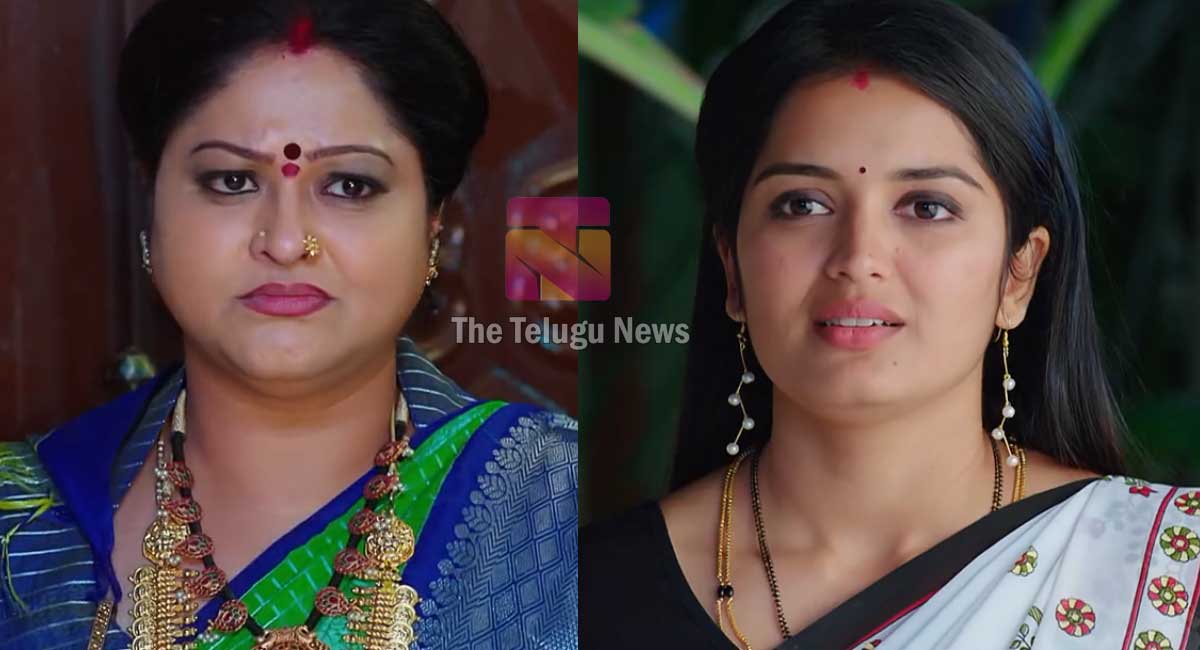 Janaki Kalaganaledu 3 Mar Today Episode : మల్లిక ప్లాన్ రివర్స్.. జానకి, రామా గురించి చెప్పినా నమ్మని జ్ఞానాంబ.. ఇంతలో జానకికి మరో షాక్