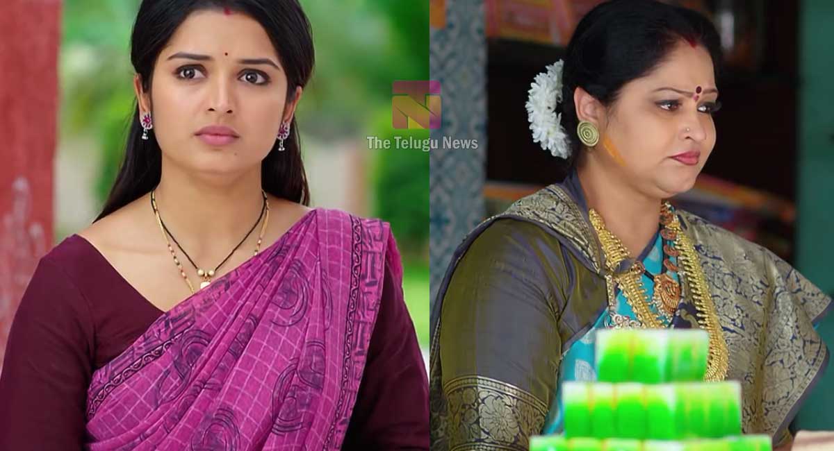 Janaki Kalaganaledu 31 March Today Episode : రామాకు జానకి విడాకులు? ఈ విషయం తెలిసి జ్ఞానాంబ సంతోషిస్తుందా? రామాను ఇంట్లోకి రానిస్తుందా?