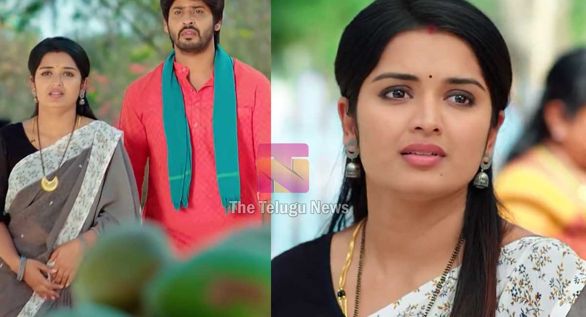 Janaki Kalaganaledu 9 March Today Episode : జానకికి మరో పెద్ద సమస్య.. జానకి ప్రెగ్నెంట్ అనుకొని ఖుషీ అయిన జ్ఞానాంబ.. ఇంతలో పెద్ద షాక్