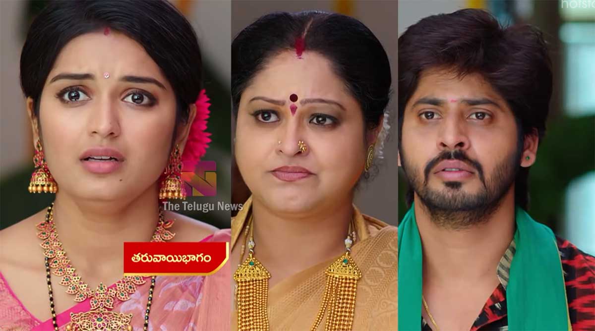 Janaki Kalaganaledu 27 July Today Episode : జ్ఞానాంబ మనస్థాపంతో ఆత్మహత్యకు పాల్పడుతుందా.. రామ జ్ఞానాంబకు ఏం చెప్తాడు.?