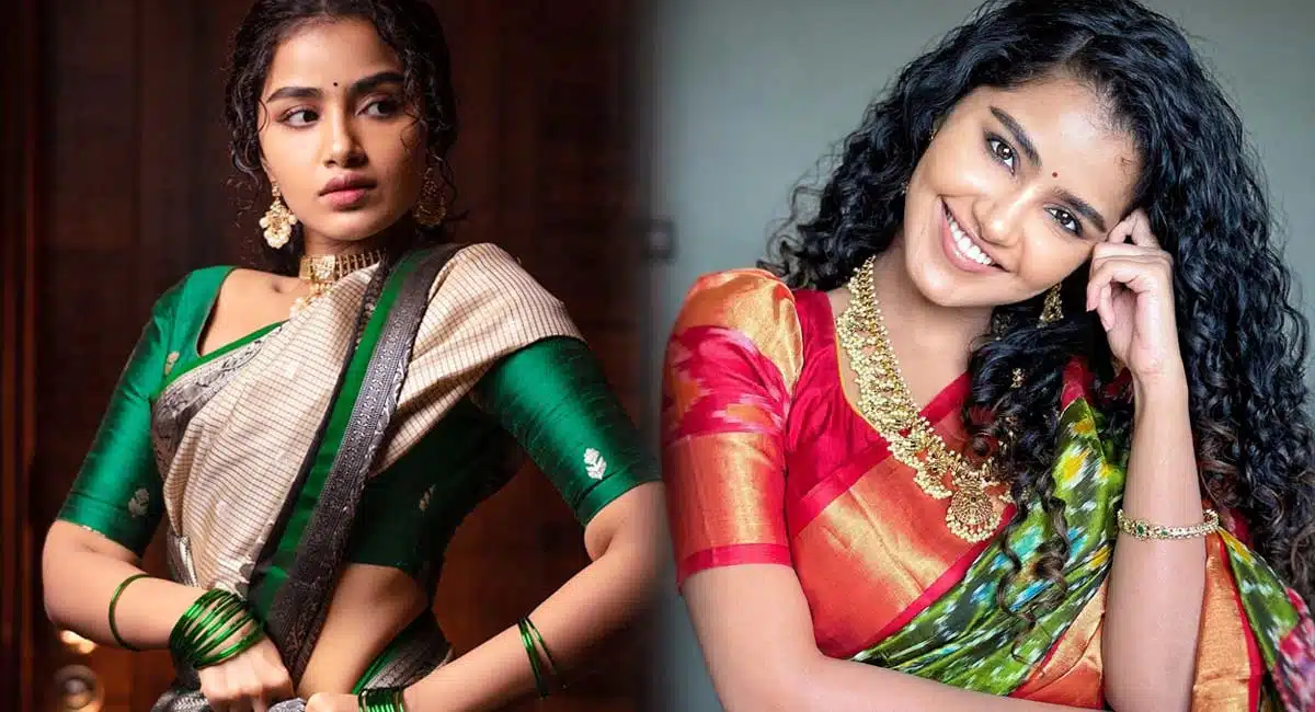 anupama parameswaran twist to netigen