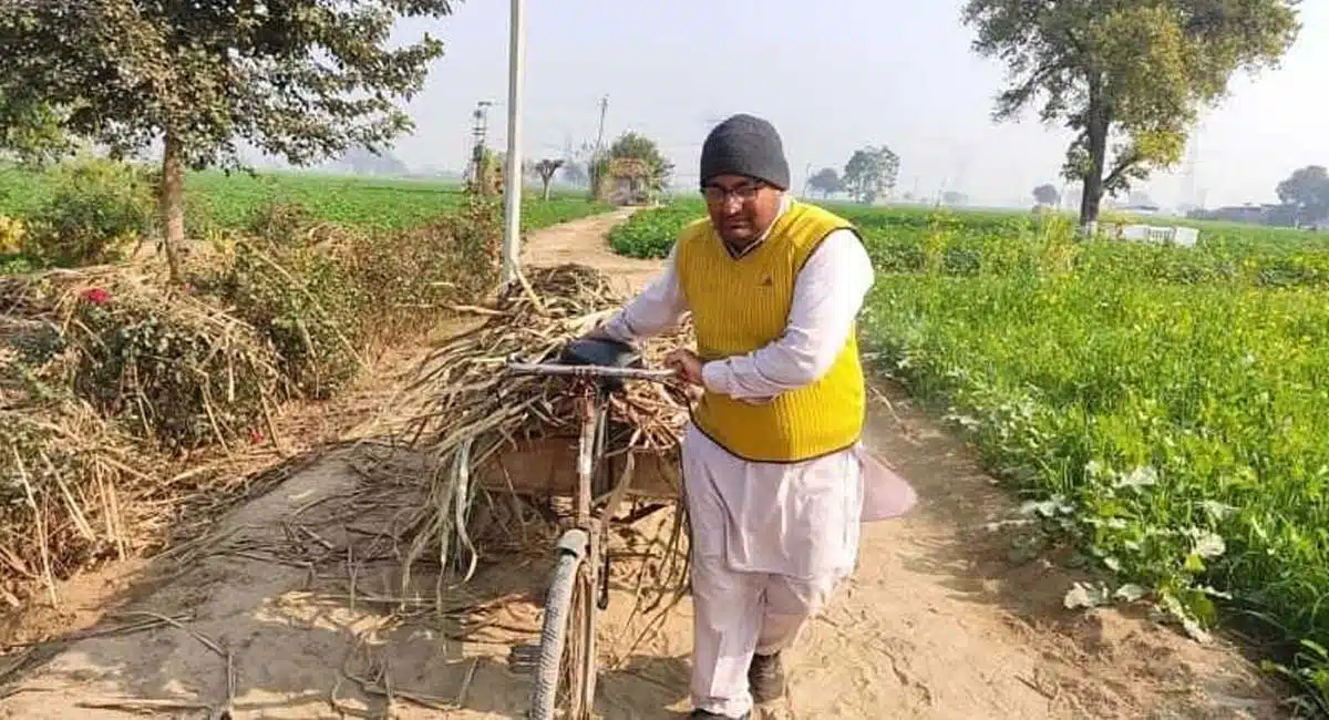 Business Idea Punjab Farmer earns lakhs nri quit job sugarcane jaggery buy