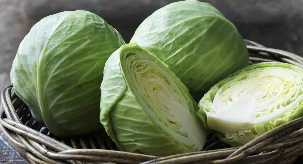 amazing Health Benefits of cabbage