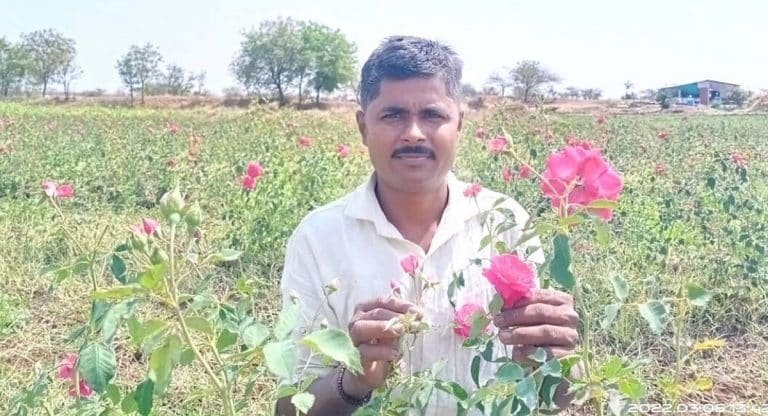 Business Idea : గులాబీ పూల సాగు చేస్తూ నెలకు లక్షలు సంపాదిస్తున్నాడు.. ఎక్కడో తెలుసా?