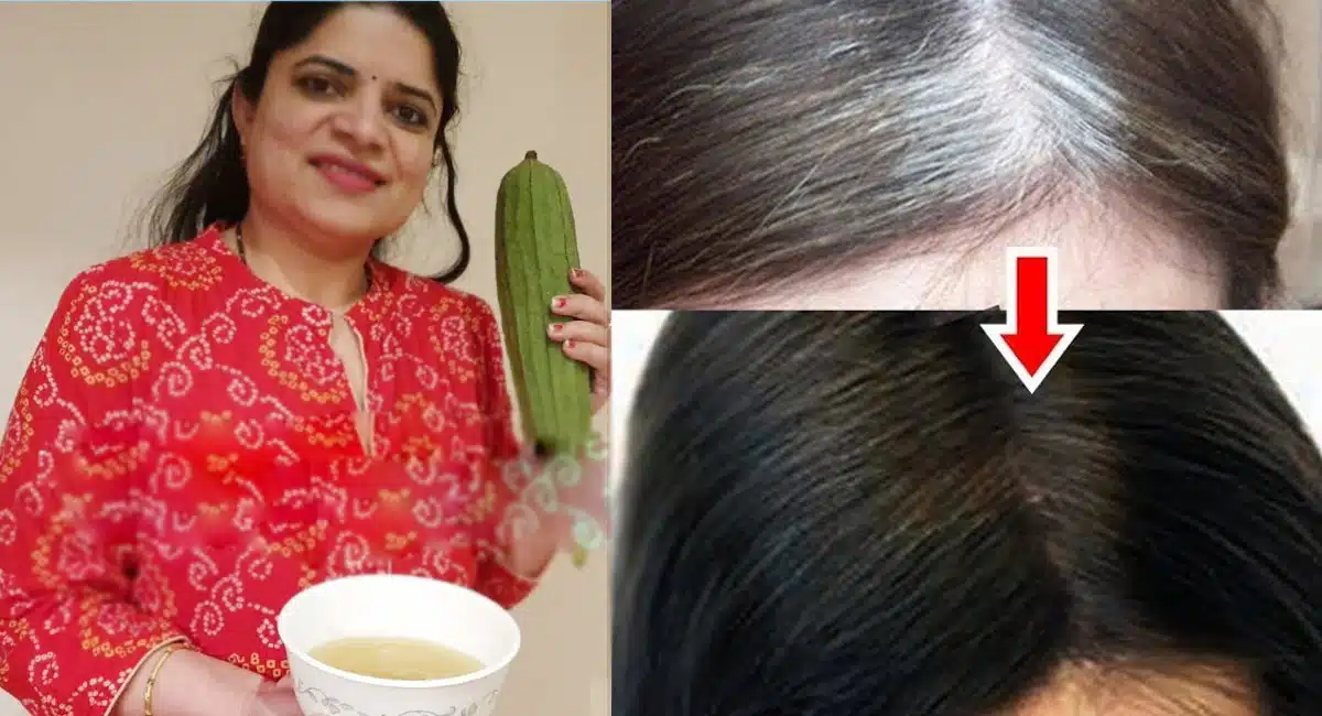 amazing Hair benifits of white hair to reverse grey hair 