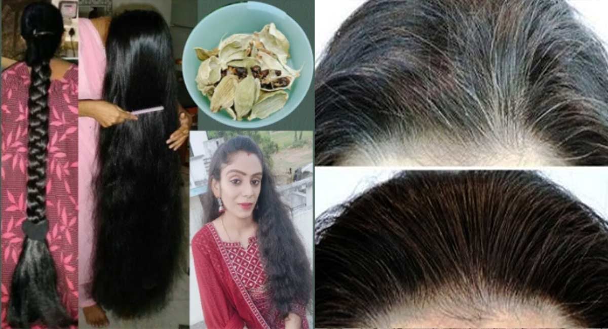 Hair Tips : 15 రోజులకొకసారి రాస్తే చాలు.. జుట్టు నల్లగా, ఒత్తుగా, పొడవుగా పెరుగుతుంది!