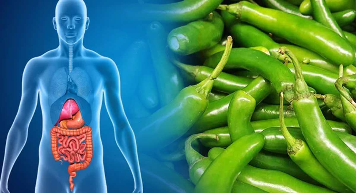 Health Benefits : పచ్చి మిర్చి తినే వారు ఇది తెలుసుకోండి.. ఇంకా ఇంకా కావాలంటారు!