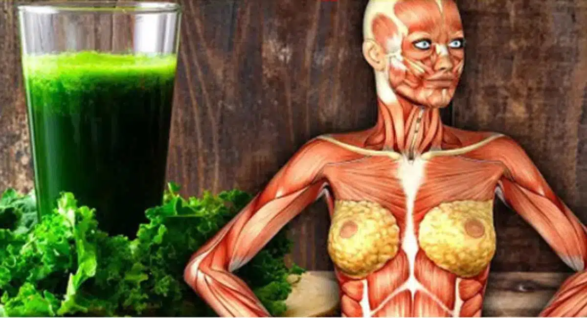 Health Benefits in kale leaves