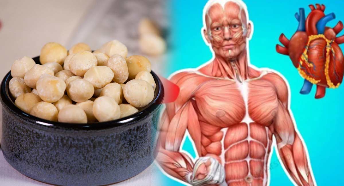 Health Benefits : ఈ ఒక్క గింజ‌తో అన్నిరోగాలు పోతాయి.. వీరు దీన్ని త‌ప్ప‌నిస‌రిగా తీసుకుంటే డాక్ట‌ర్ అవ‌స‌రం ఉండ‌దు