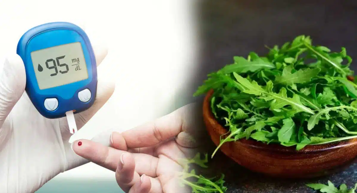 health benefits of arugula leaves in your diabetes control