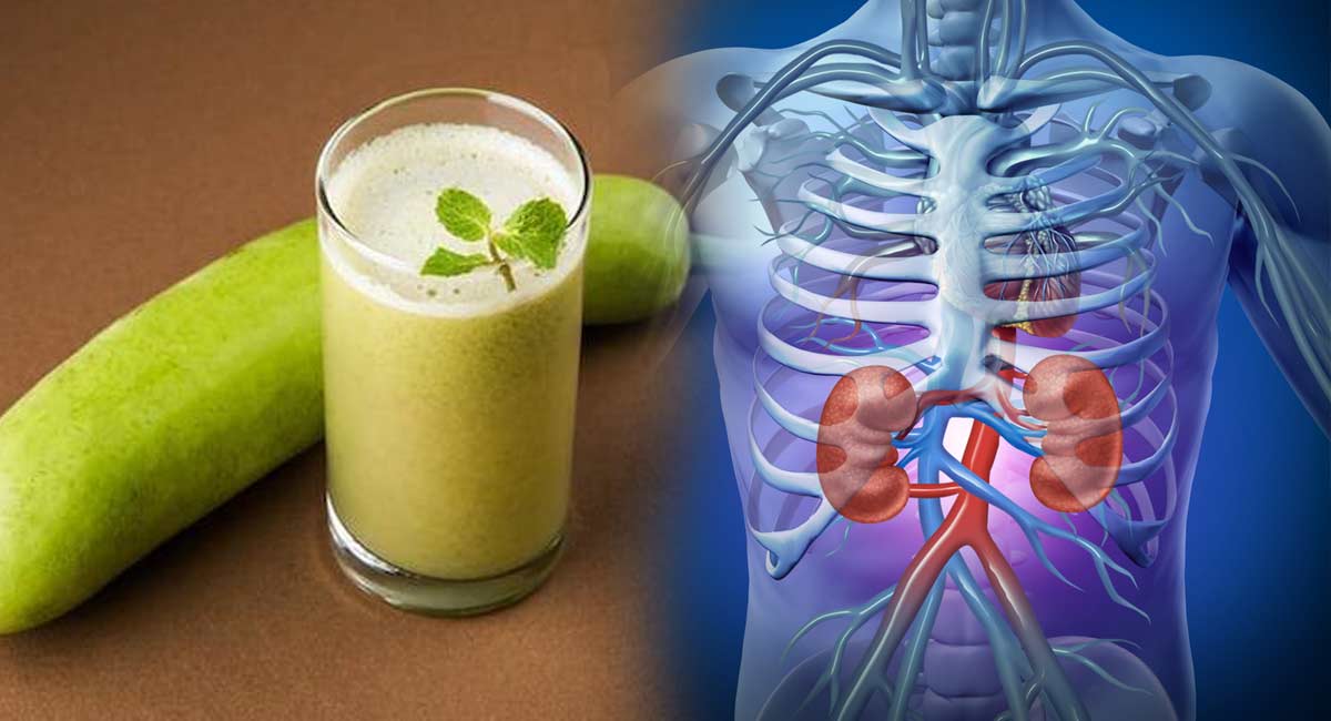 Health Benefits : కిడ్నీలను ఎప్పటికప్పుడు క్లీన్ చేసే సొరకాయ జ్యూస్.. 15 రోజులకు ఒకసారైనా తాగండి!