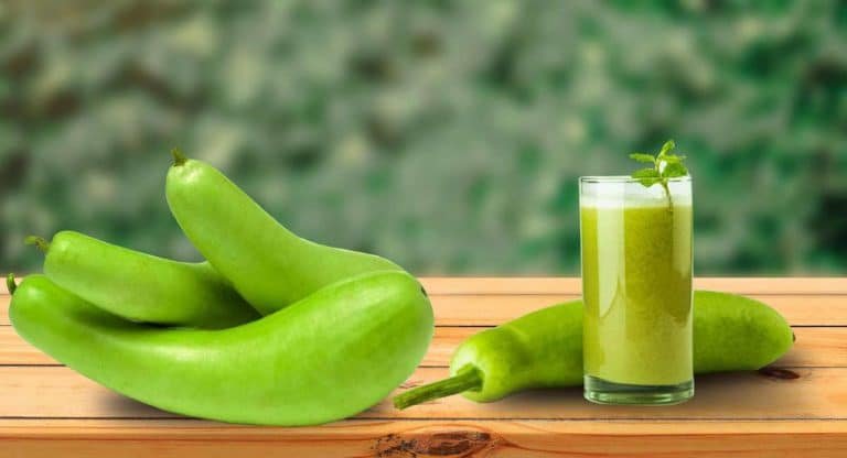 Health Benefits : సమ్మర్ లో సొరాకాయ తిన్నారంటే.. ఆ సమస్యలన్నిటికీ చెక్ పెట్టొచ్చు!