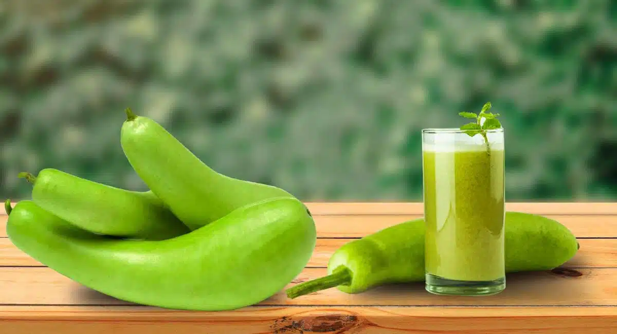 bottle guard Health Benefits in the summer