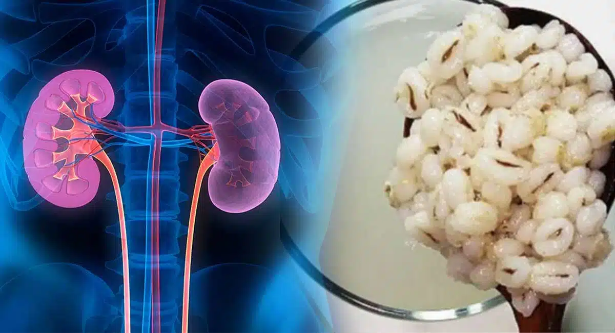 Health Benefits blood purification improves kidney filtaration