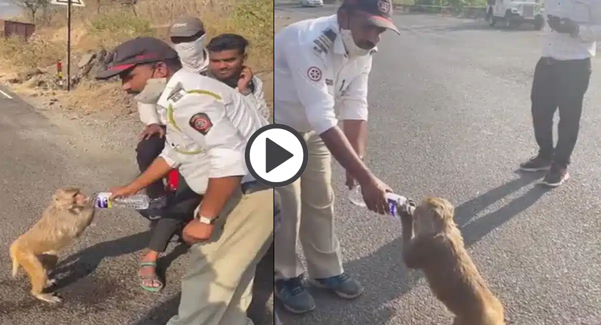 traffic constable gave water to monkey on the road video viral