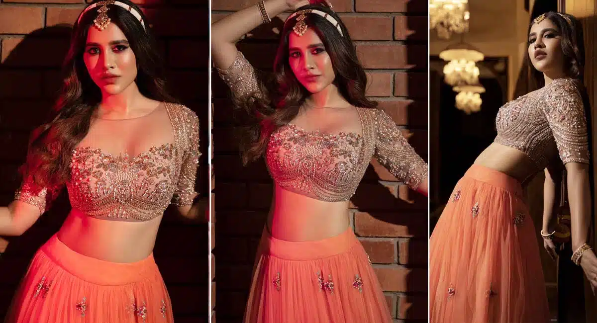 nabha natesh mesmerizing looks are stunning