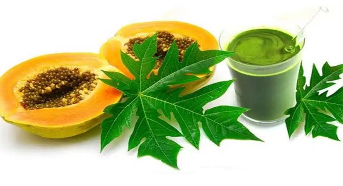 papaya leaf juice Health benefits