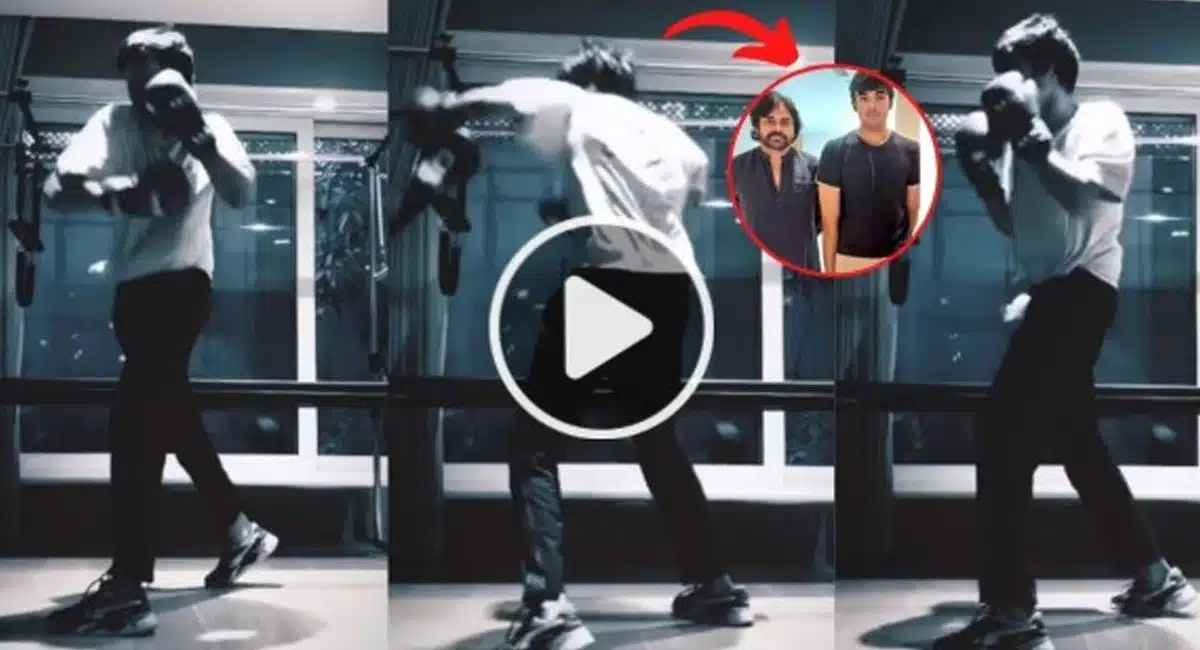 Akira Nandan boxing in why Pawan Kalyan fans are saying