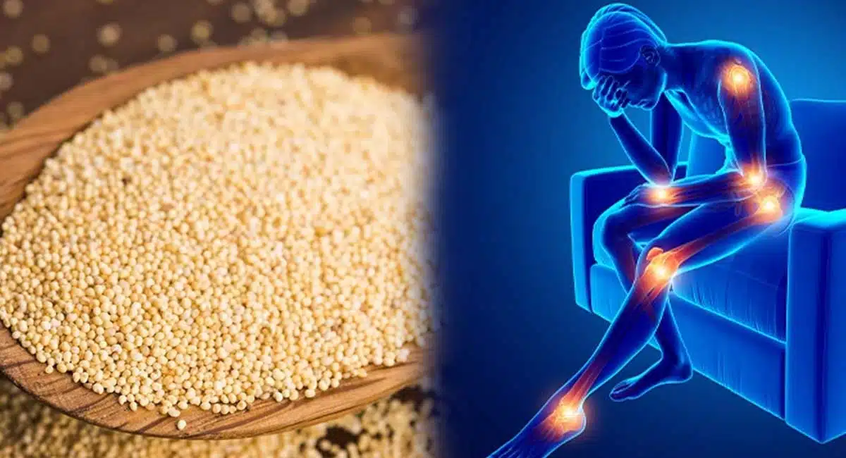 Health Benefits best body pain killer Poppy Seeds