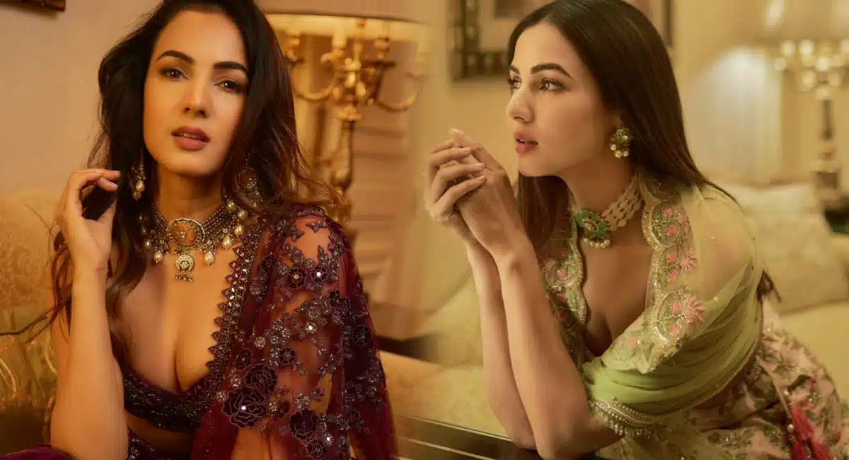 sonal chauhan stunning looks
