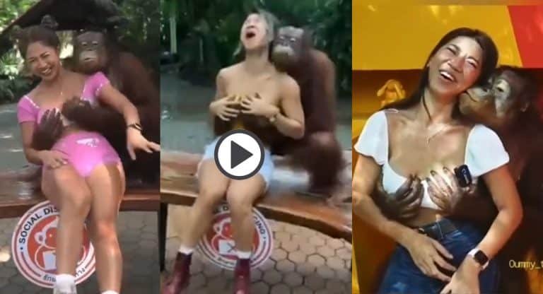 Viral Video : ఇవేం ఆట‌లు బాబూ… అమ్మాయిల‌తో చింపాంజీ చిలిపి చేష్ట‌లు