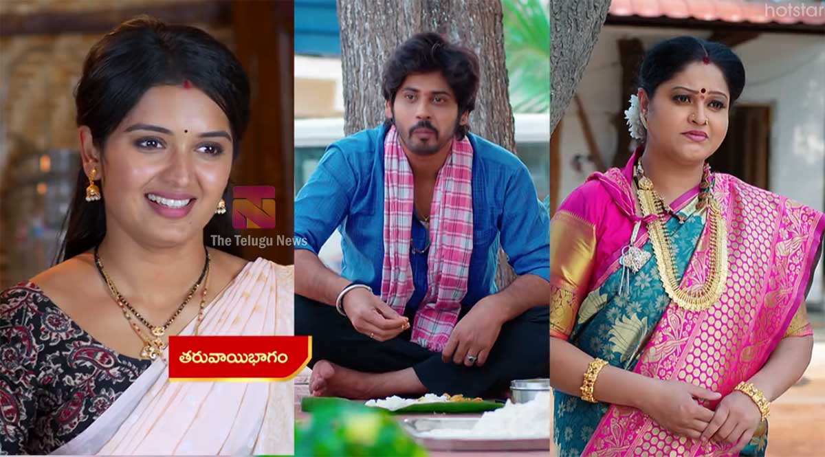 Janaki Kalaganaledu 1 April Today Episode : రామా పరిస్థితి చూసి జ్ఞానాంబ షాక్.. జానకితో రామాకు విడాకులు ఇప్పించేందుకు జ్ఞానాంబ డిసైడ్ అయిందా?