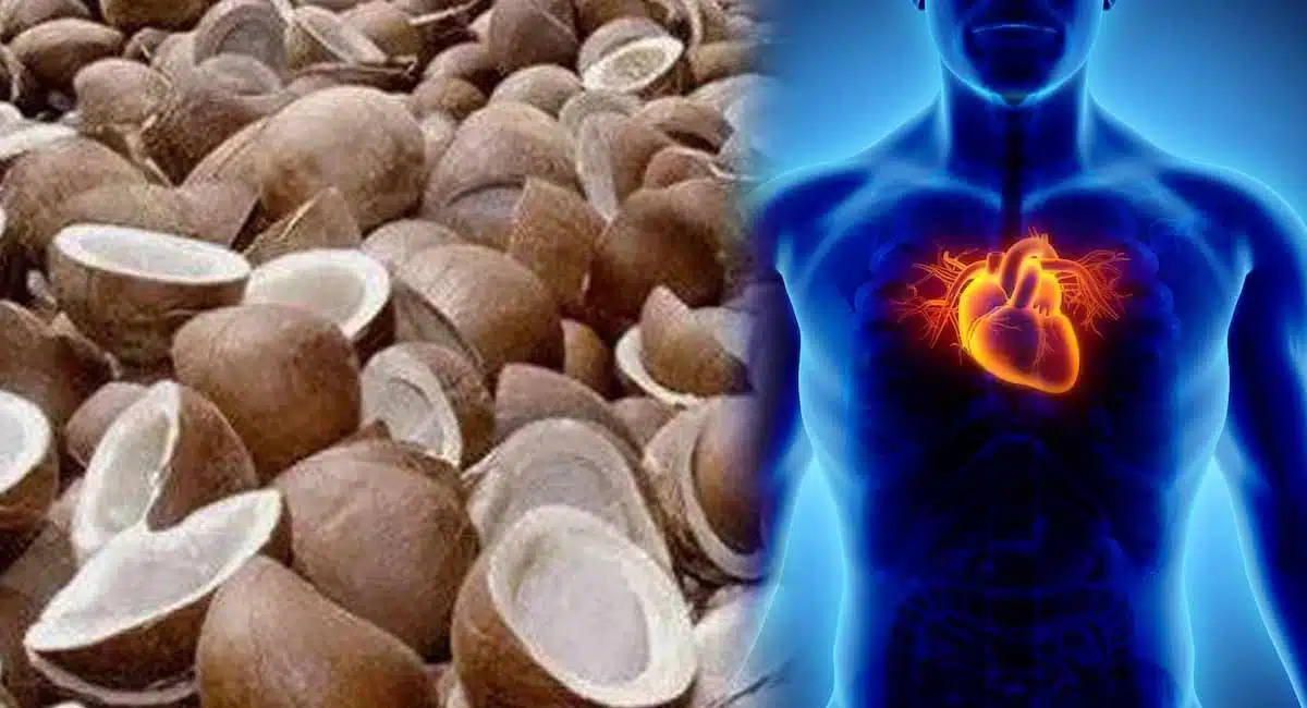 amazing Health Benefits of Dried Coconut nutrition