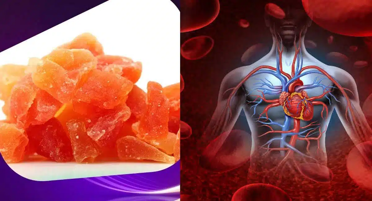 Health Benefits purify blood reduces waste in blood blood purification detox
